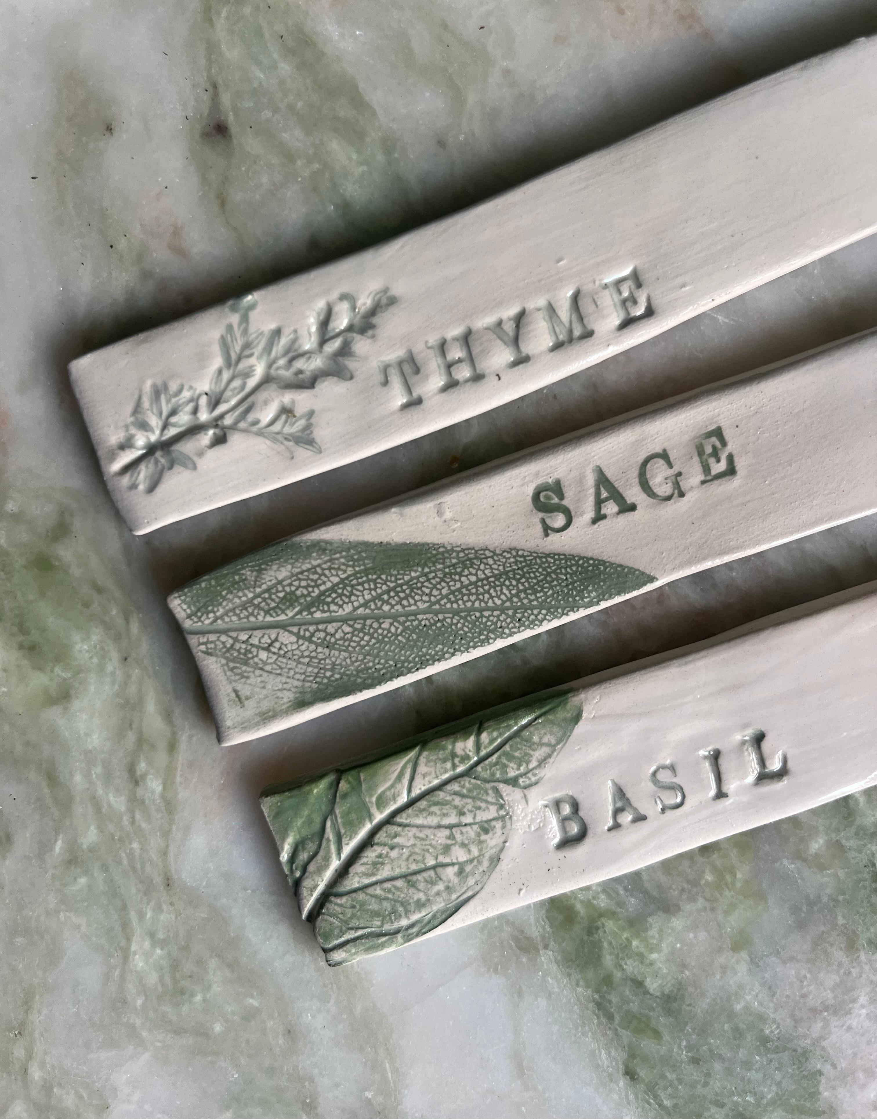 Jardín Mediterráneo — Plant Markers